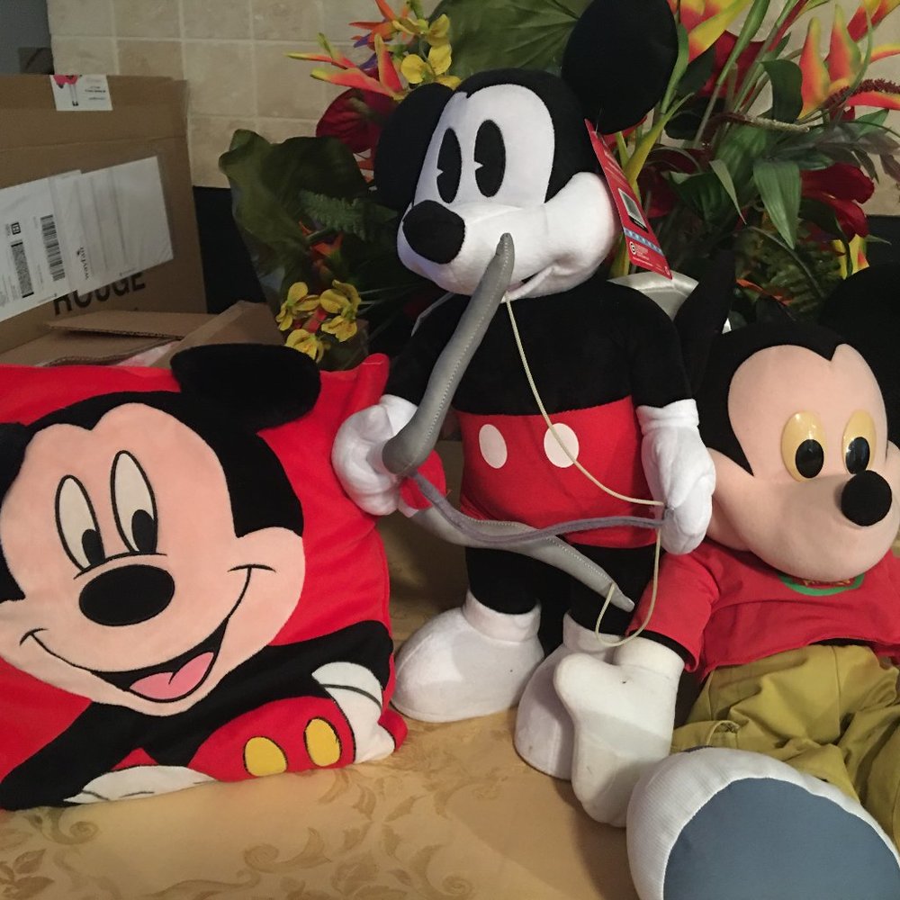 Mickey Mouse Lg. Toys & pillow